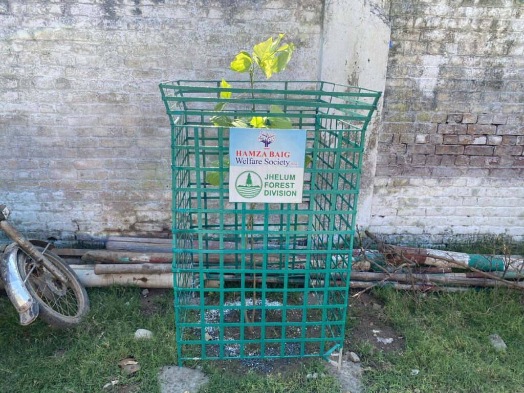 Hamza Baig Welfare Society Plants Trees for Ongoing Charity5