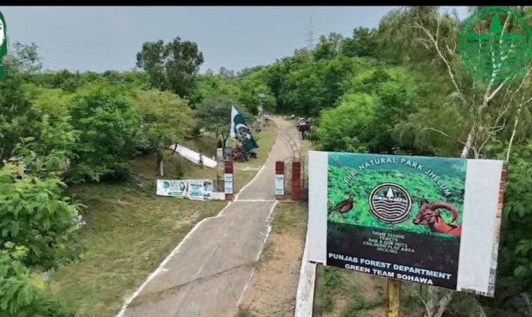 Lehri Nature Park Revitalized as Jhelum’s Family Destination2