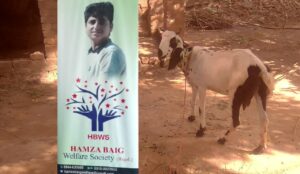 ChatGPT said  Hamza Baig Welfare Supports Family with Livelihood Goat
