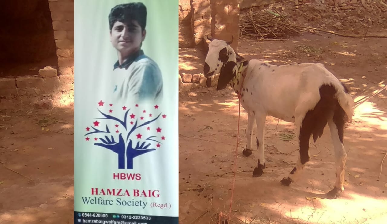 ChatGPT said  Hamza Baig Welfare Supports Family with Livelihood Goat