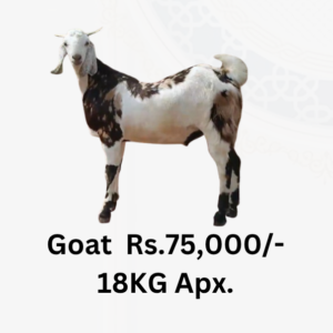 Eid ul Azha 2026 Collective Scarifice Goat